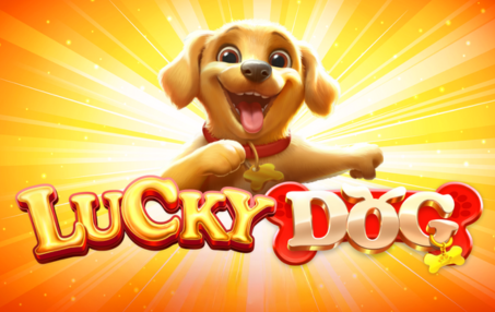 Lucky Dog